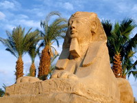 Горяшие туры в Египет