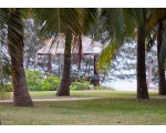 поле между отелем Grand Soluxe Hotel & Resort 5* и пляжем. Санья. Хайнань.